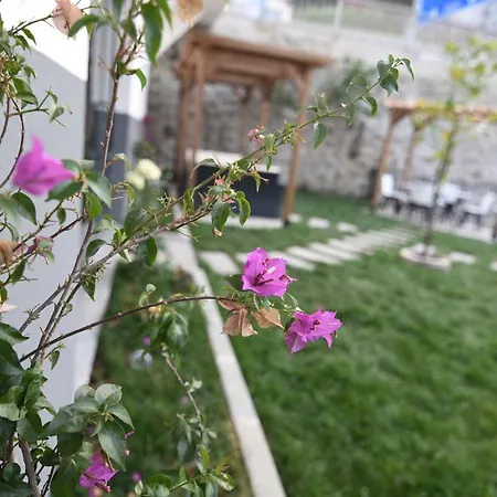 Hotel Sera Nature & 4*
